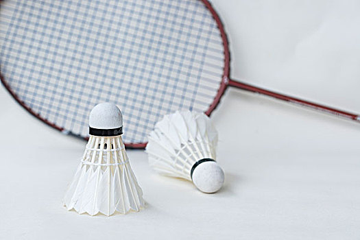 恰好符合这 恰好符合这