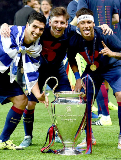 的体系里 的体系里